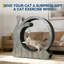 Cat Hutch-631119297-631119296