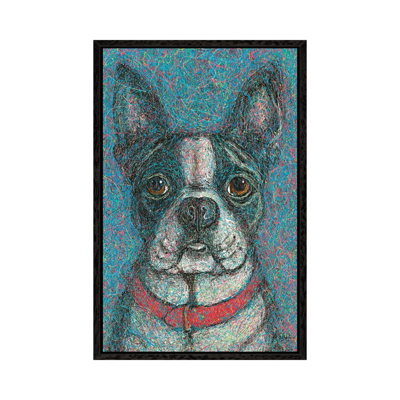 Boston Terrier Drip by Gretchen Kish Serrano - Gallery-Wrapped Canvas Giclée on Canvas, 66.04 cm H x 45.72 cm W, Black Framed