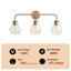 Luminaire de salle de bain 3 lumières à abat-jour à intensité variable E26 à finition dorée Amoll