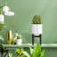 Pot de fleurs en céramique-555715798-555715797