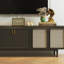 Meuble télé en rotin de style américain-109746553