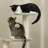 Cat Tree