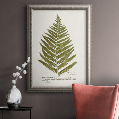 " Nature Printed Ferns II "