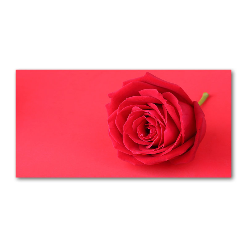 Red Rose - Wrapped Canvas Print