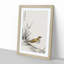 Chinese Tree-Pipit by Numata Kashu - Picture Frame Painting Print-55680389-55680392