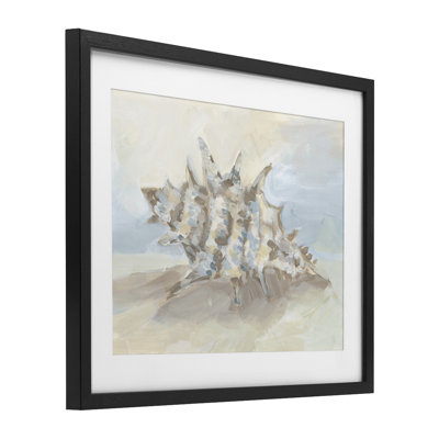 Doux mélange de coquillage clouté et coquillage sous-verre par Jetty Home, LLC