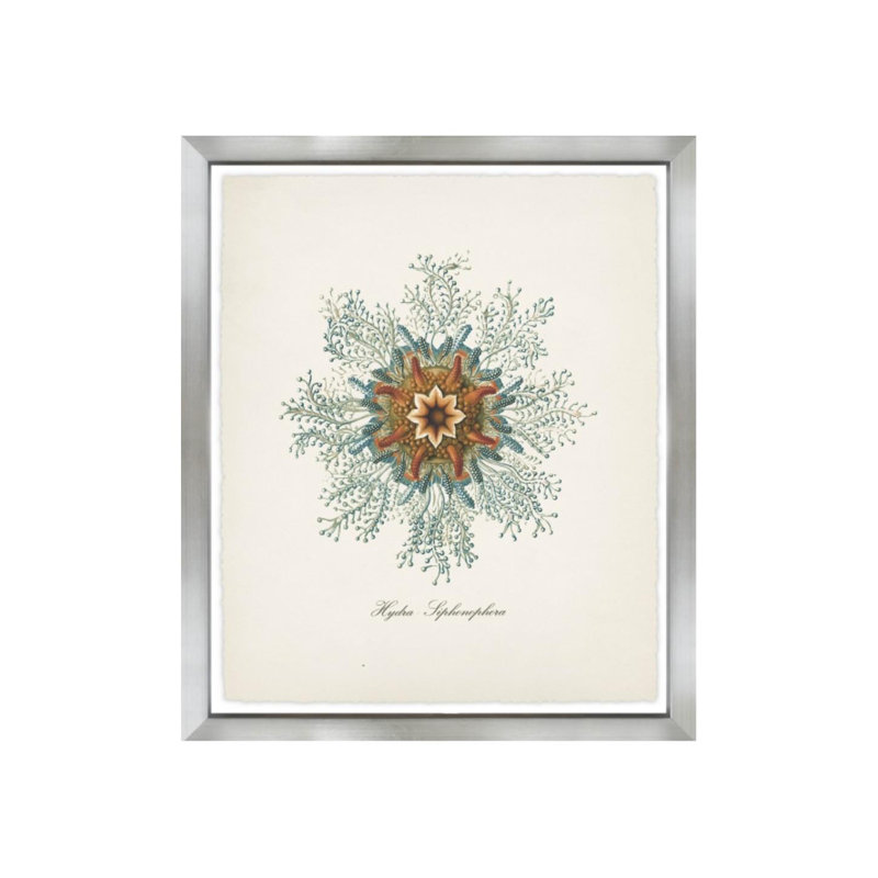 «Nautical Art V» par Sofia Fox - impression sur toile, H 35 po x l 30 po x P 1,5 po, Mat