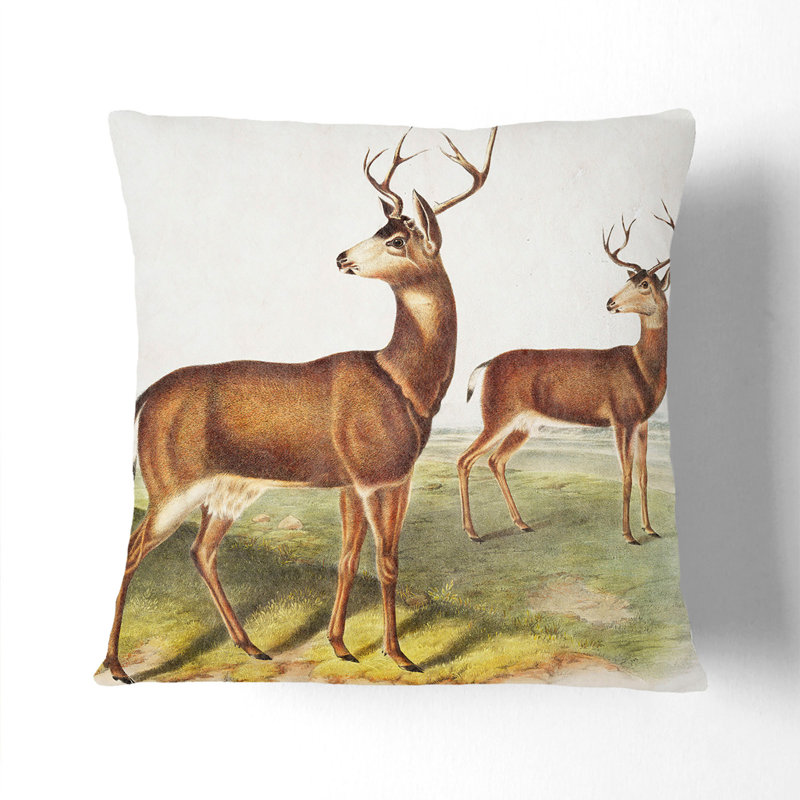 Floral Square Cushion, White, 55cm H x 55cm W x 20cm D