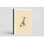 Great Carolina Wren (1827) - Portrait, art mural sur toile-129980265