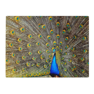 Peacock Bird 4  Glass Chopping Board