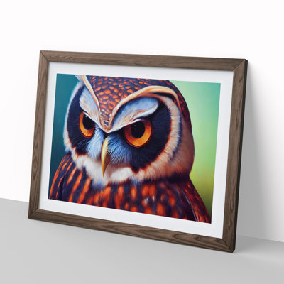 Brilliant Owl - Single Picture Frame Print