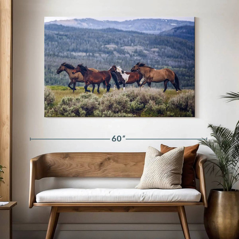 Brampt Mountain Horses, H 34 po x l 51 po