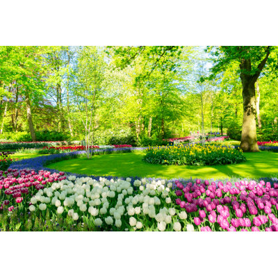 " Fresh Lawn With Flowers "