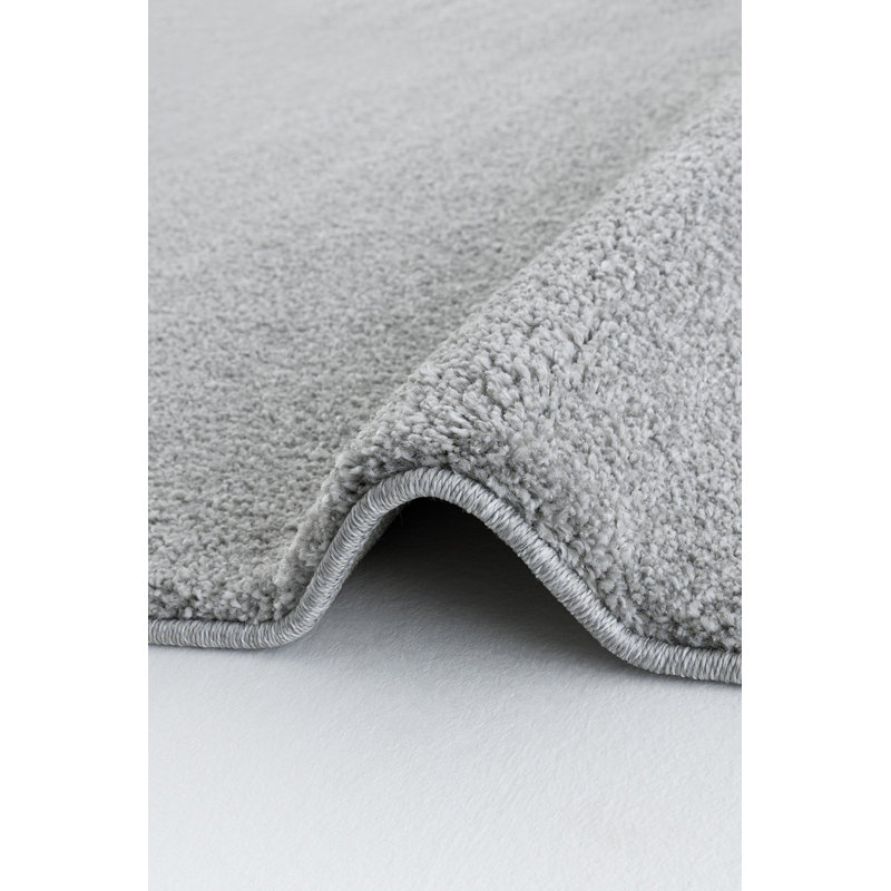 Renalda Solid Colour Machine Made Indoor / Outdoor Area Rug, Rectangle 9'10" x 16'4"