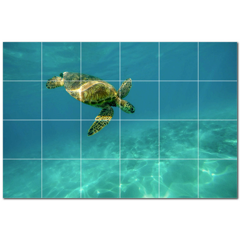 Tortue photo 4,25 x 4,25