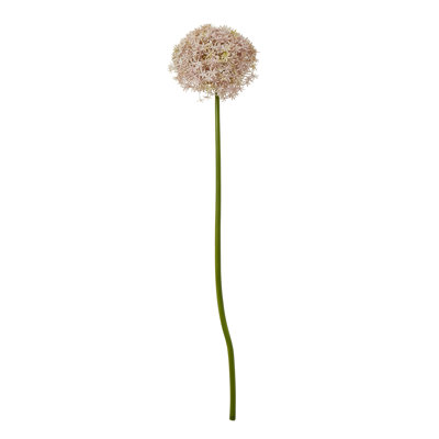 Arrangement