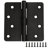 4" H x 4" W Butt Bearing Door Hinges-21319270