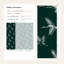 Papier peint Cranes-124896587