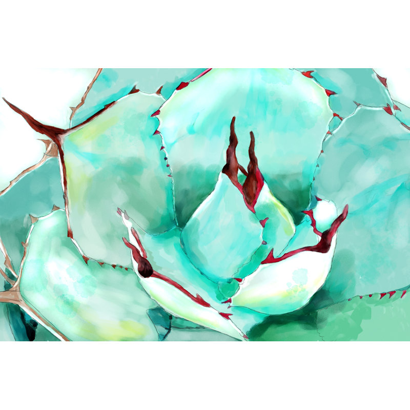 Paint Dry Succulent - Wrapped Canvas Art Prints, 30cm H x 46cm W x 3.8cm D