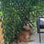 Photos des clients 1 de 4