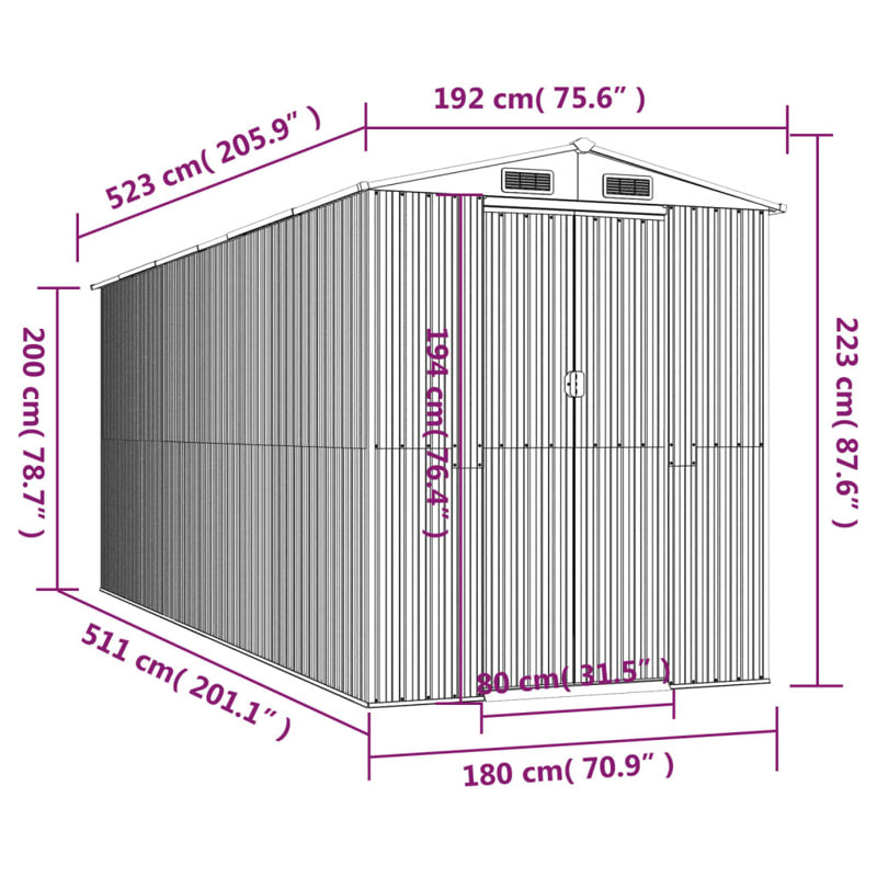 Remise de rangement traditionnelle en acier, L 6,3 pi x P 17,16 pi