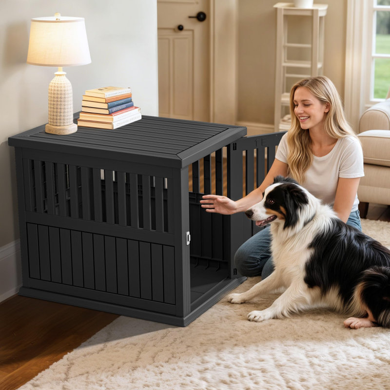 Dog House for Small to Medium Pets, Black