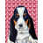 Basset hound 6