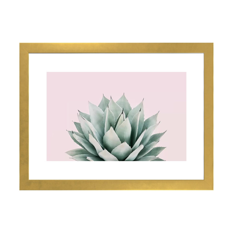 «Agave» par Sissi et Seb - impression d'art graphique, Papier encadré doré, H 16 po x l 24 po x P 1 po, Blanc