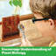 Green Science: Grow-A-Maze