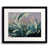 Black Framed Paper selected