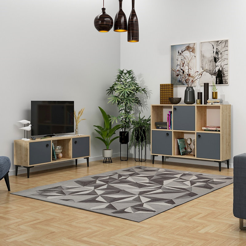 Meuble télé pour téléviseur de 55 po ou moins Garrad, Chêne / anthracite