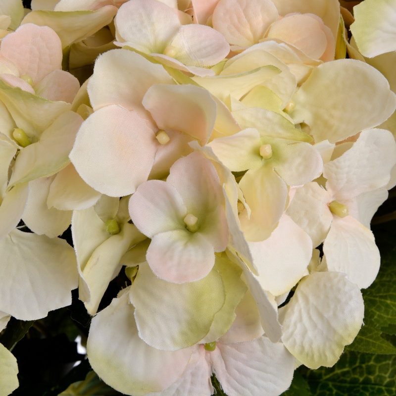 Hydrangea Arrangement, Cream, 30" H x 15" W x 15" D