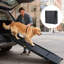 Rampe pour chien de 71 pouces, pour chiens de taille moyenne et grande portative et pliable, tapis antidérapant, structure, véhicule à corde, pliable de 71 po de long avec surface de glissement, supportant jusqu'à 250 lb, lits hauts convenables, quatre