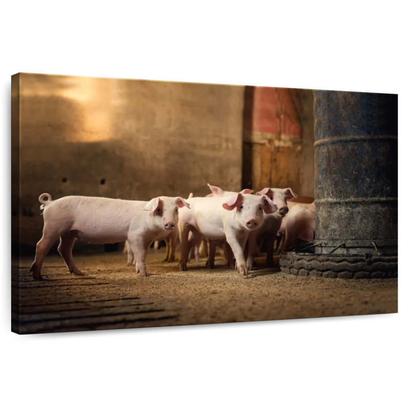 Brampt Piglet Troupe