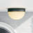 Marie Matte Black 12" W Outdoor Ceiling Mount