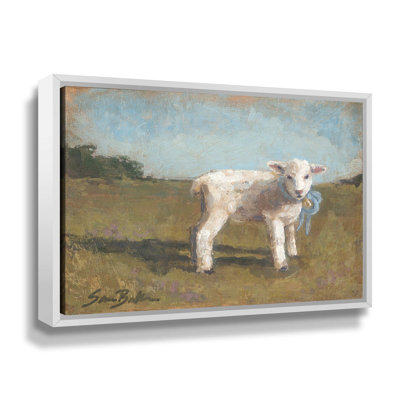 " Little Lamb III "
