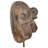 Ancestral Apes On Stand