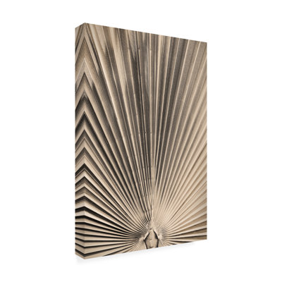 Modern  Contemporary Solaris 07