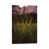 Wrapped Canvas