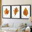Étude de feuilles d'automne I - Impression sur mesure encadrée de qualité supérieure - 3 pièces-974408091