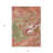3' X 5' Coral Green And Ivory Abstract Washable Indoor Outdoor Area Rug