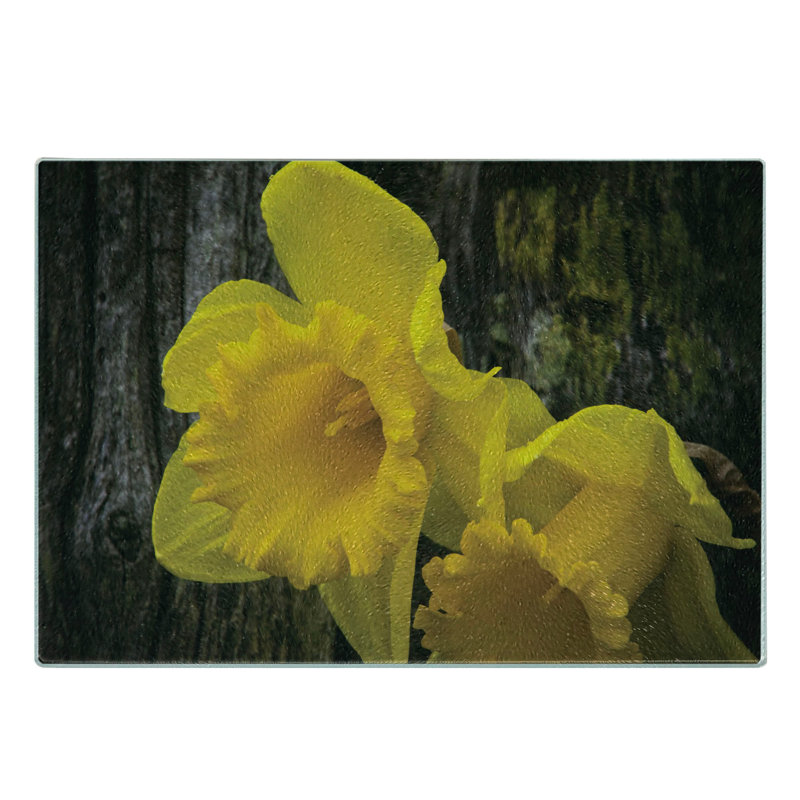 Planche à découper en verre trempé Ambesonne