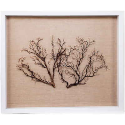 Sealife Print
