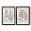 Sépia Besler Botanicals III - reproduction encadrée de qualité supérieure - prête à être accrochée-1132794142-1132794139