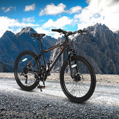 24 Inch Mountain Bike Boys Girls, Steel  Frame, Shimano 21 Speed Mountain Bicycle with Daul Disc Brakes and Front Suspension MTB