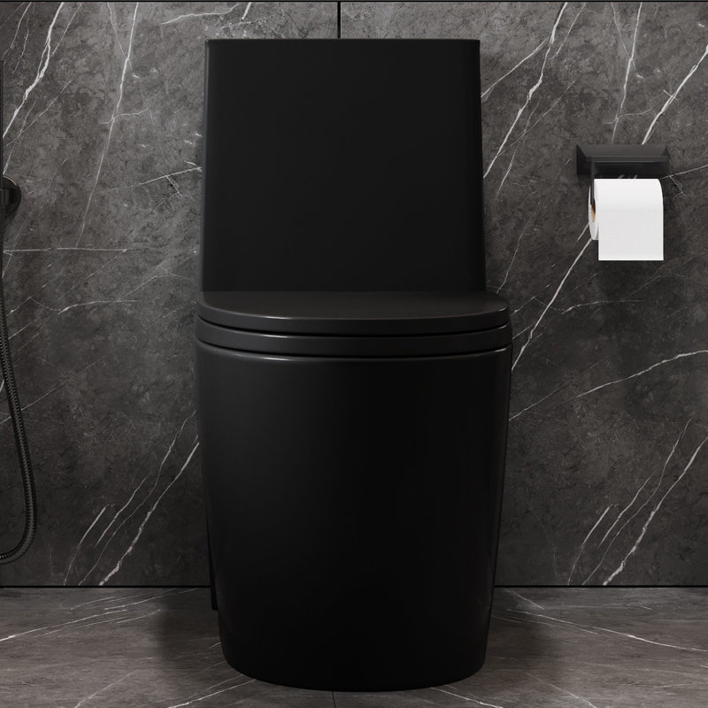 Matte Black Ceramic Elongated One-Piece Dual Flush Toilet