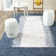 Ceniceros Cotton Hand Woven Area Rug