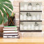 «Bookshelf Collectibles» par Cindy Jacobs, estampe numérique sur toile-1916639683