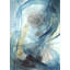 Blue Ribbons I Painting by Janice Sadler-25798901-25798902