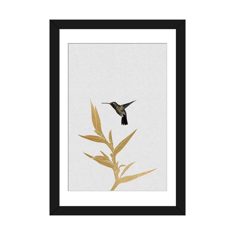 'Hummingbird and FloWer I' Graphic Art Print, Black Single Picture Framed, 32" H x 24" W x 1" D